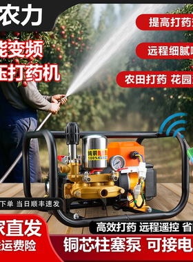 变频遥控电动车高压三缸柱塞泵打药机农用果树48V60V72V220喷雾器
