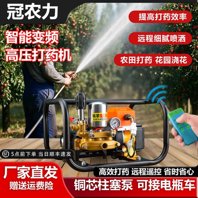 变频遥控电动车高压三缸柱塞泵打药机农用果树48V60V72V220喷雾器