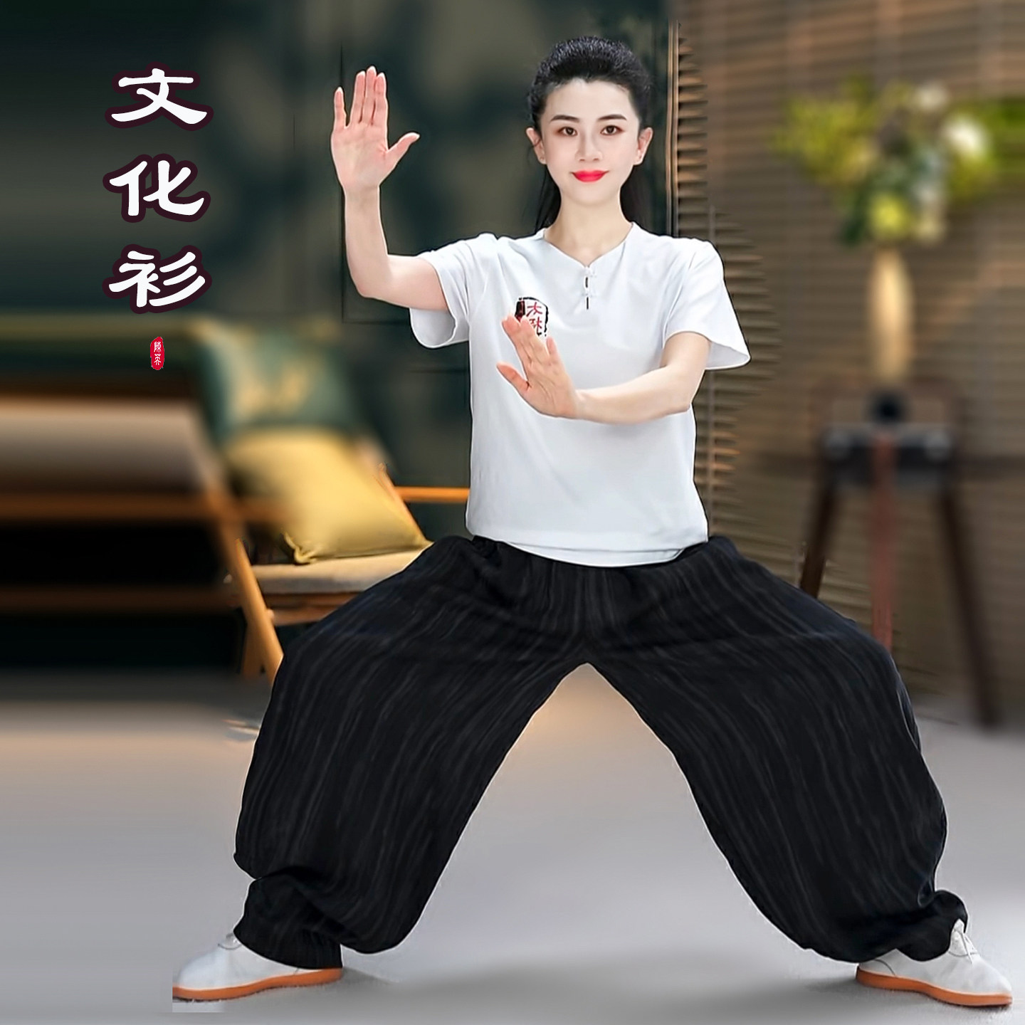 中国风太极服男女春夏秋季纯棉T恤文化衫短袖武术练功服