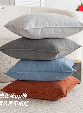 2025新款沙发抱枕套轻奢高级感客厅大靠枕正方形45x45靠背垫定制