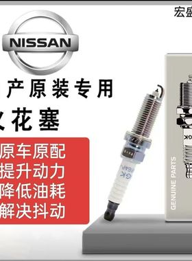 适配于日产双铱金轩逸天籁骐达阳光骊威逍客奇骏骐达NGK火花塞