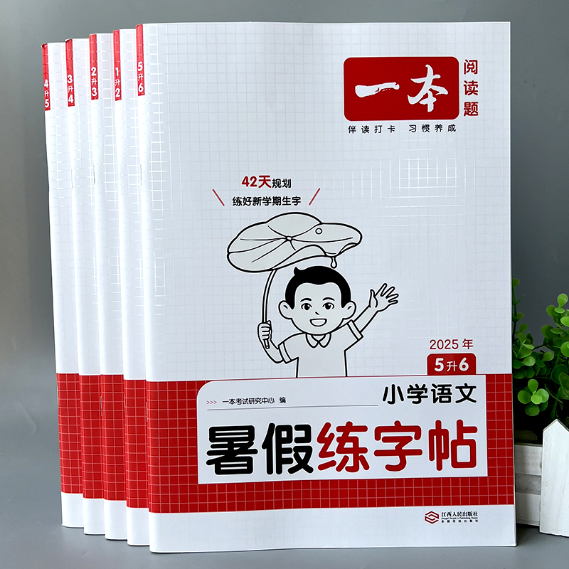 小学语文暑假练字帖生字表写字本