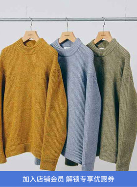 DIGAWEL Mockneck Sweater意大利面料纯羊毛毛衣 套头圆领针织衫