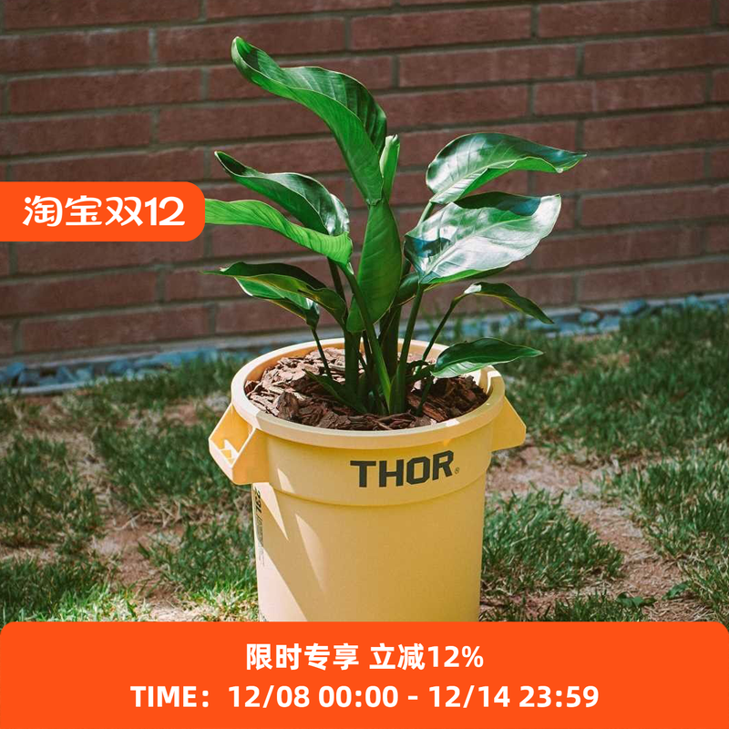 THOR装饰多用途圆筒水桶