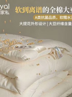 皇朝家私A类大豆纤维被芯纯棉