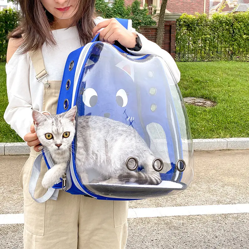 猫包外出双肩卡通宠物猫咪包透明