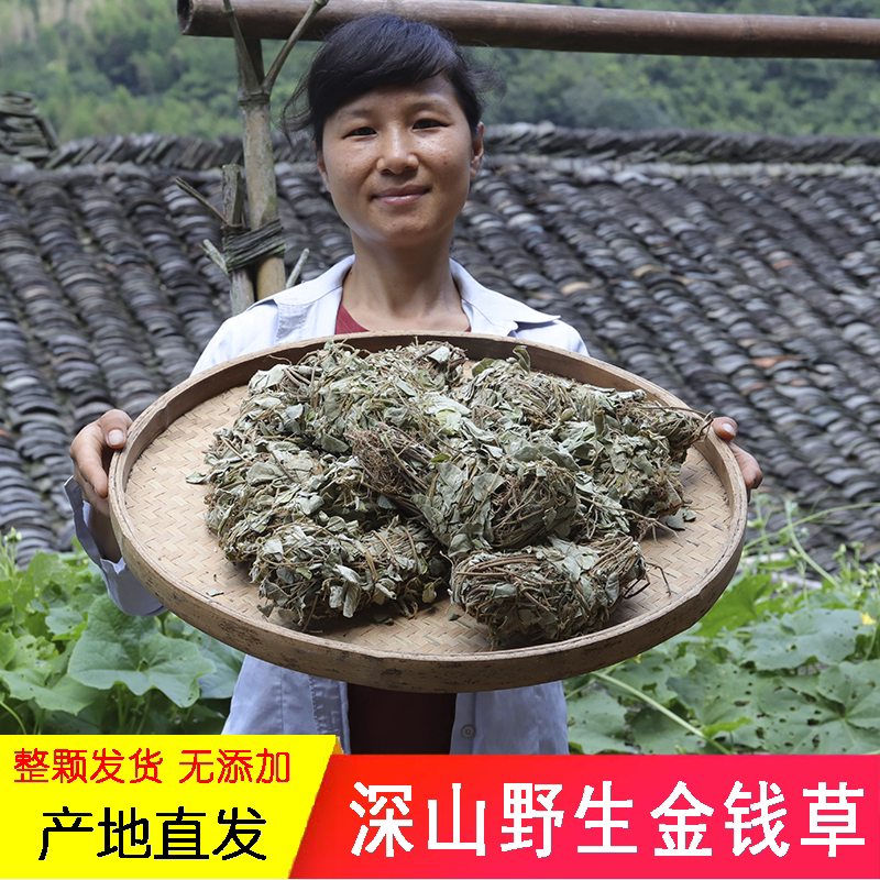 广东金钱草500g农家生晒全颗带根排溶石化石煲汤料四季金钱草草药