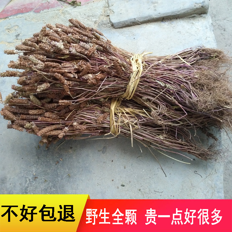 天然夏枯草中药材500g农家深山夏古草花草无硫散结下火花草凉茶草