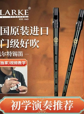 Clarke克拉克丞哥凯尔特锡笛D调笛子爱尔兰竖笛口笛哨笛直笛乐器
