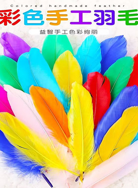 幼儿园手工彩色羽毛DIY制作装饰品儿童创意美术课制作白色羽毛彩
