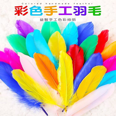 幼儿园手工彩色羽毛马卡龙色DIY