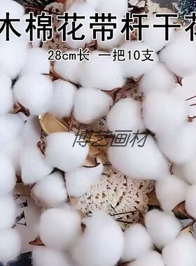 圣诞装饰木棉花带杆干花28cm长