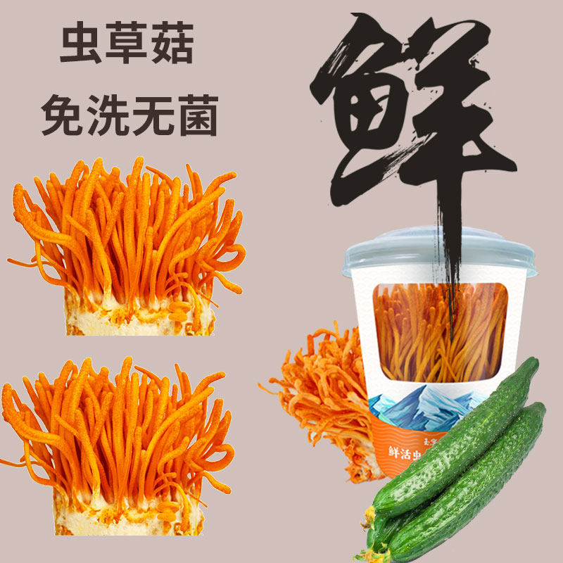 蛹虫草菇新鲜北鲜活体冬虫夏草无菌生吃凉拌煲汤火锅
