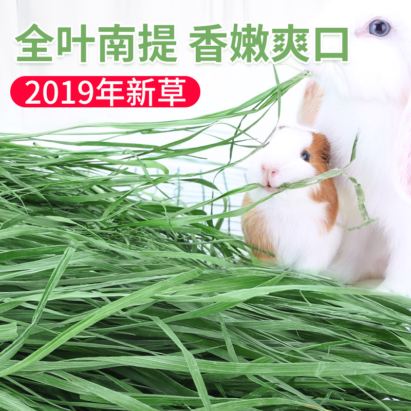 19年提摩西草南兔子草粮兔粮牧草干草龙猫荷兰猪营养饲料粮食食物