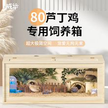 房子80鸡窝 芦丁鸡专用饲养箱别墅笼大号造景用品专用箱房子卢丁