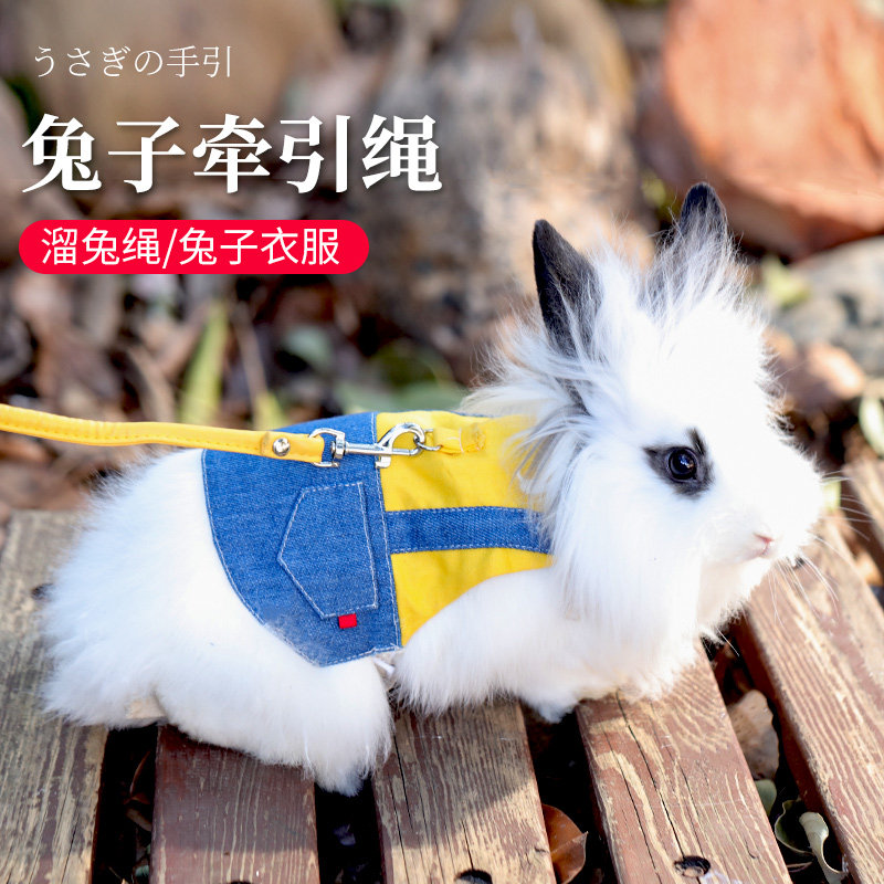 遛兔子牵引绳宠物溜兔兔专用防挣脱栓侏儒小白兔龙猫衣服外出神器