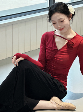 3360古典舞练功服身韵纱衣中国飘逸新款服装网纱成人上衣红色长袖