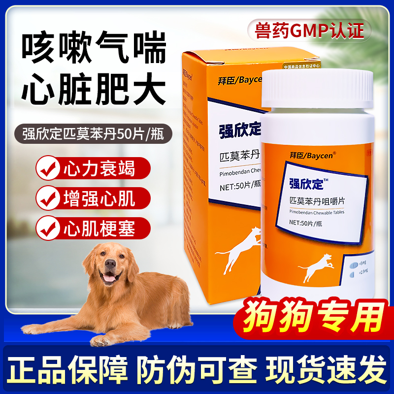 拜臣匹莫苯丹5mg宠物狗心脏肥大心力衰竭咳嗽气喘强欣定增强心肌