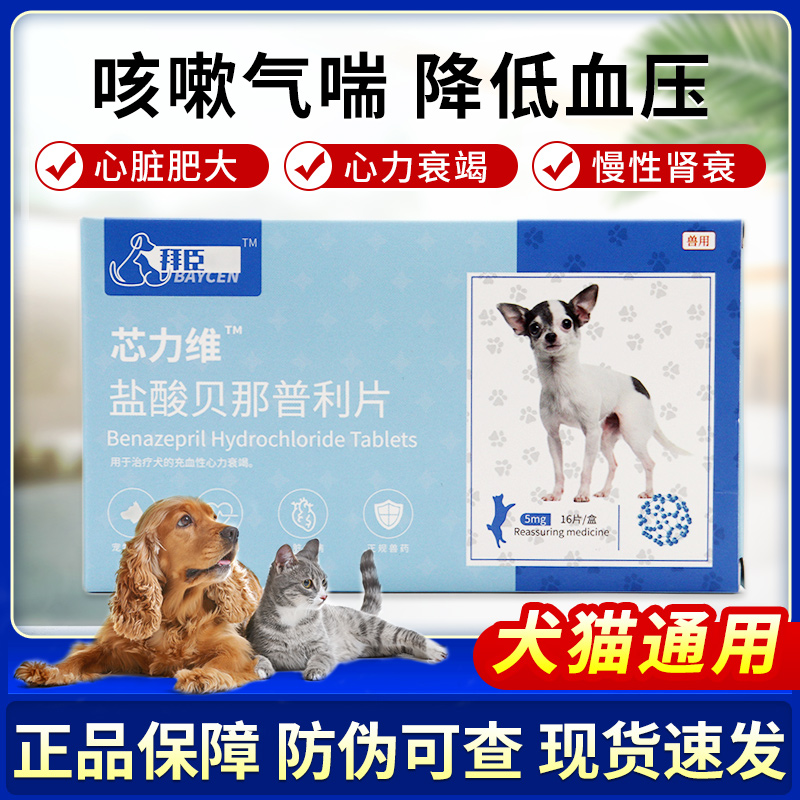 拜臣芯力维盐酸贝那普利片5mg猫狗宠物药心脏充血衰竭心脏肥大