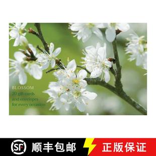 High Pack Flower and Blossom Notecards Delightful 9780754821212 ... Card 4周达 Box quality Envelopes
