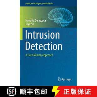 Intrusion Detection Approach 9789811527180 Mining 4周达 Data