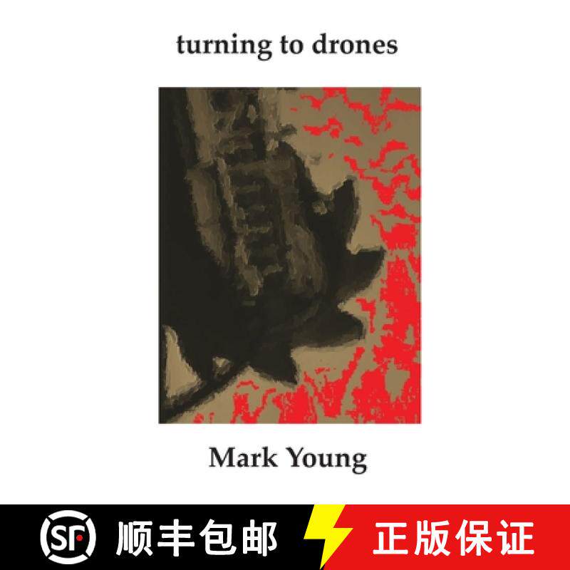 预订 turning to drones [9781734440928]