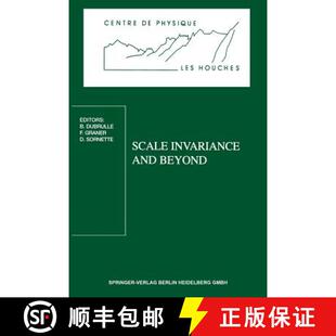 Invariance Les Scale 9783540640004 and 4周达 Workshop Houches Beyond 1997 March