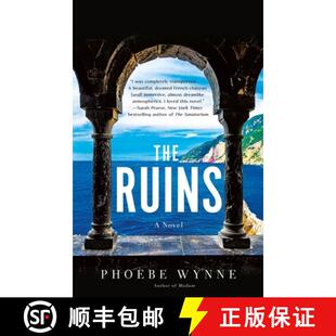 Novel 4周达 9781250800695 Ruins