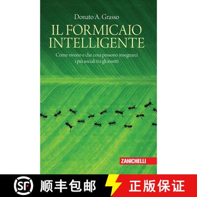预订 Il Formicaio Intelligente: Come Vivono e che Cosa Possono Insegnarci i Più Sociali tra gli Inse... [9788808620880]