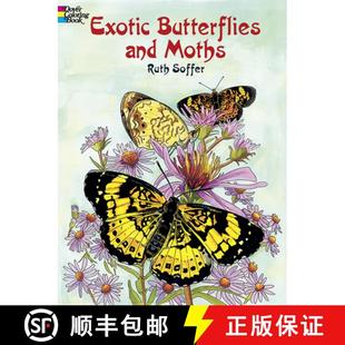 and Moths Coloring 预订 9780486423814 Butterflies Book Exotic