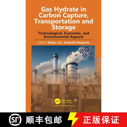 【3-4周达】精装 Gas Hydrate in Carbon Capture, Transportation and Storage: Technological, Economic, a... [9781032692067]
