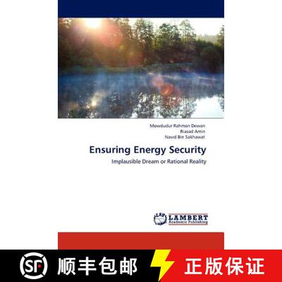 预订 Ensuring Energy Security [9783848499779]