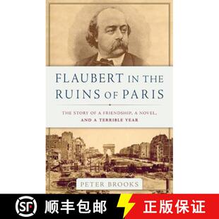 Paris Novel The Story Ruins 9780465096022 Terrible Year Flaubert the Friendship and 4周达