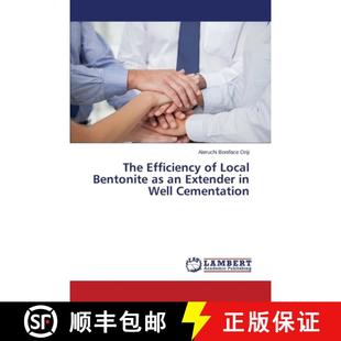 9783659433788 Extender The Efficiency Bentonite Local Cementation 预订 Well