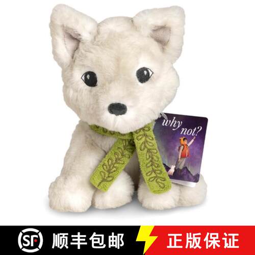 【3-4周达】精装 Arctic Fox Plush – A companion to the book Why Not? [9781957891200]
