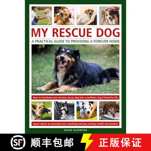 【3-4周达】精装 My Rescue Dog: A practical guide to providing a forever home: How to understand and t... [9780754835479]