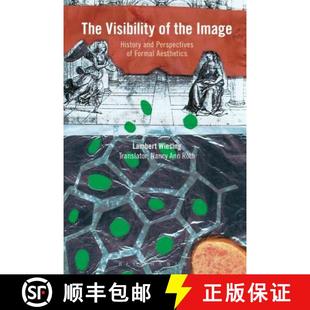 and The Image 预订 Perspectives 9781350064027 Aesthetics Visibility the Formal History