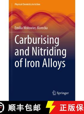 【3-4周达】Carburising and Nitriding of Iron Alloys [9783031598647]