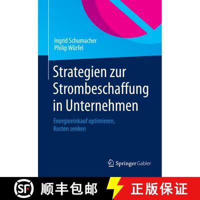 【3-4周达】Strategien zur Strombeschaffung in Unternehmen : Energieeinkauf optimieren, Kosten senken [9783658074210]