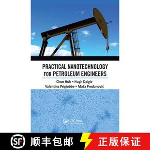 Practical Nanotechnology for Engineers 4周达 Petroleum 9780367656485