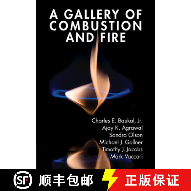 【3-4周达】A Gallery of Combustion and Fire [9781107154971]
