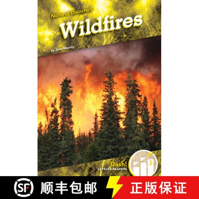 【3-4周达】Wildfires [9781098285548]