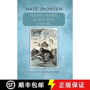 Hawk and Flying 3周达 Boy 9781490818412 Ramblings Thoughts Slave 500