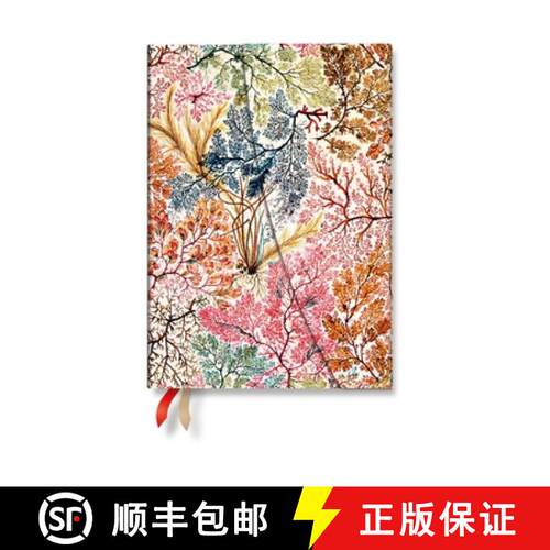 【3-4周达】2027 Anemone MIDI Horizontal Hardcover 12-Month Weekly Planner, 160pg, 100gsm by Paperblan... [9780349716435]