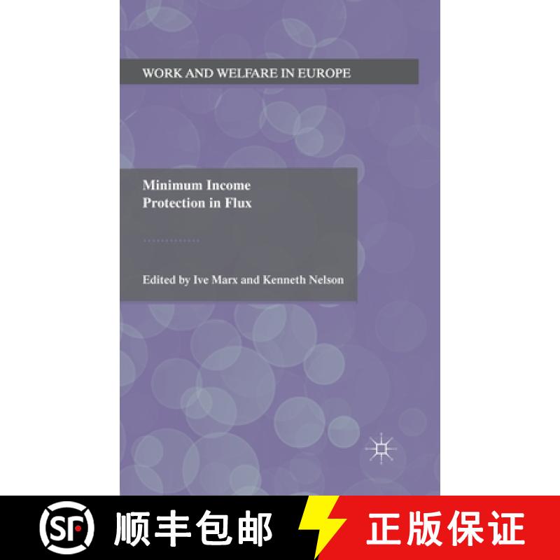 【3-4周达】Minimum Income Protection in Flux [9781349345335]
