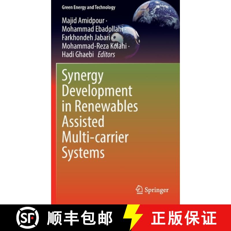 【3-4周达】Synergy Development in Renewables Assisted Multi-Carrier Systems [9783030907198]