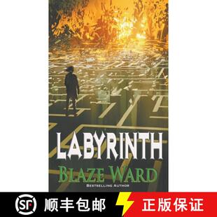 Labyrinth 4周达 9781644703564