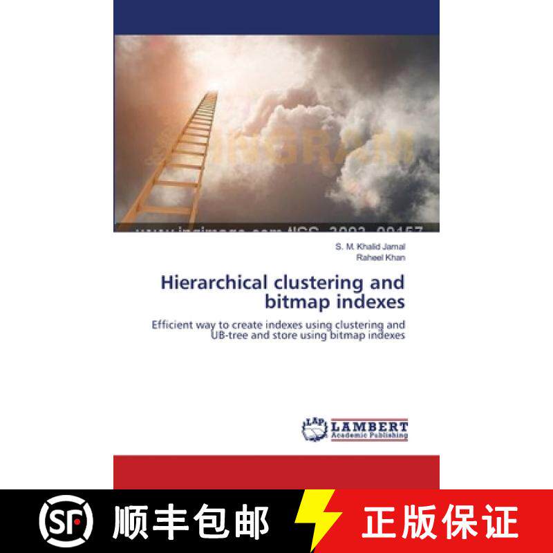 预订 Hierarchical clustering and bitmap indexes [9783659113246]