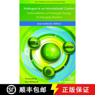【3-4周达】精装 Hydrogen in an International Context: Vulnerabilities of Hydrogen Energy in Emerging ... [9788793379985]