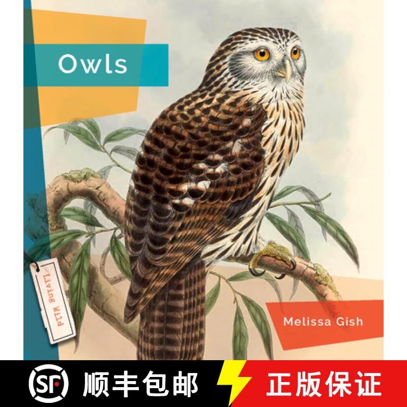 【3-4周达】Owls [9781682771617]